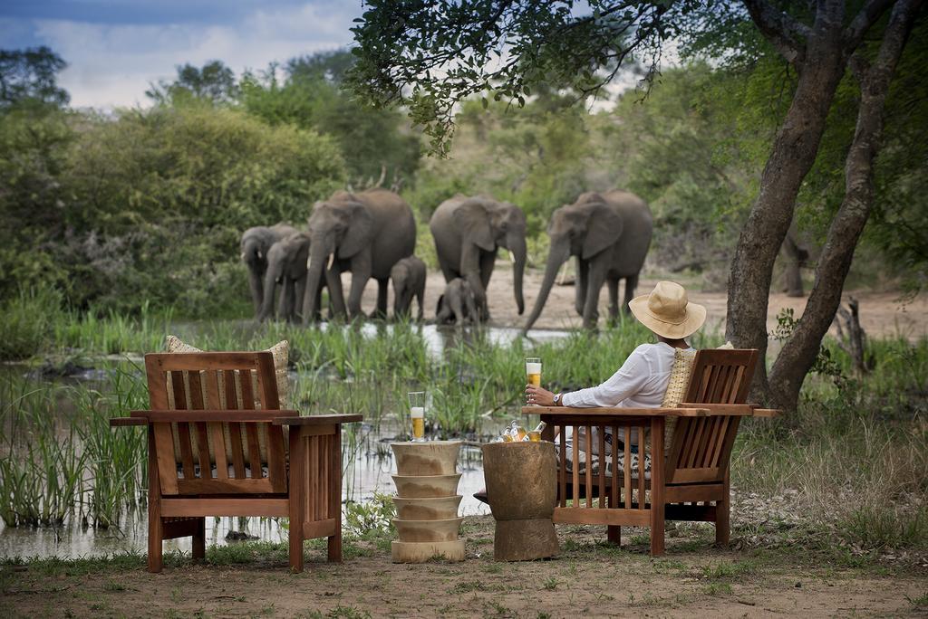 Tanda Tula Safari Camp Timbavati Game Reserve Exterior foto