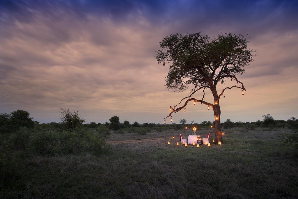 Tanda Tula Safari Camp Timbavati Game Reserve Exterior foto