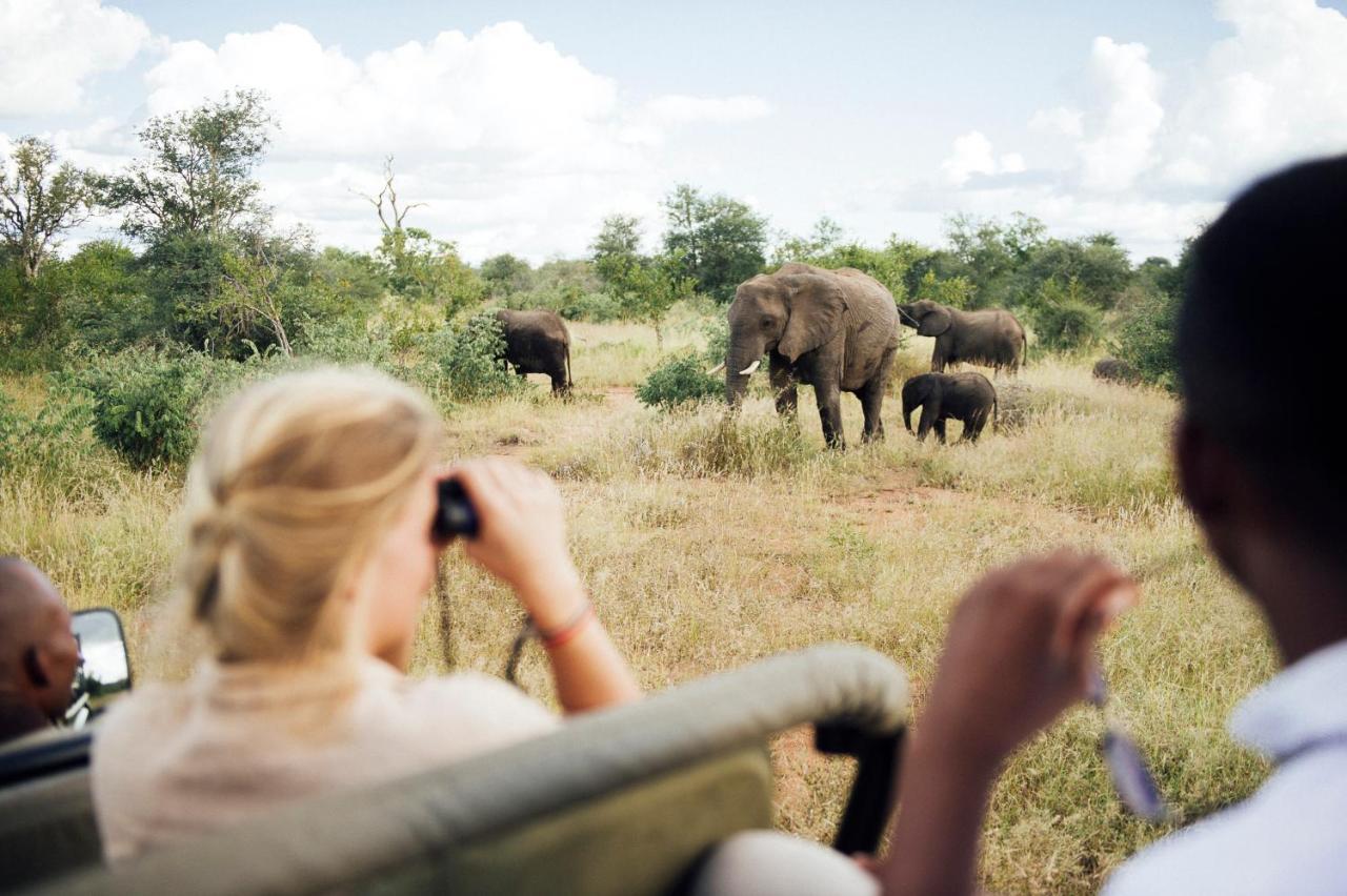 Tanda Tula Safari Camp Timbavati Game Reserve Exterior foto