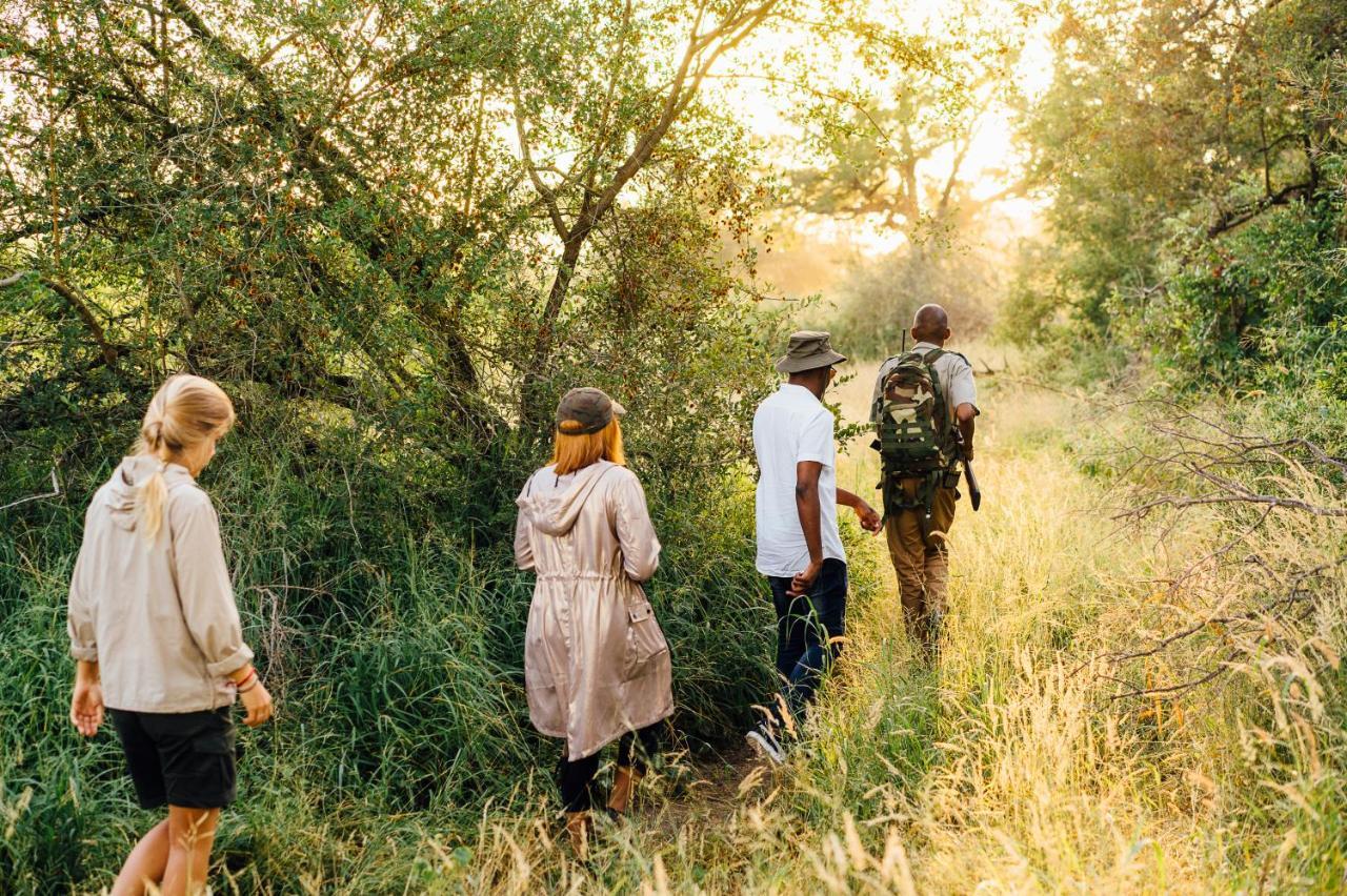 Tanda Tula Safari Camp Timbavati Game Reserve Exterior foto